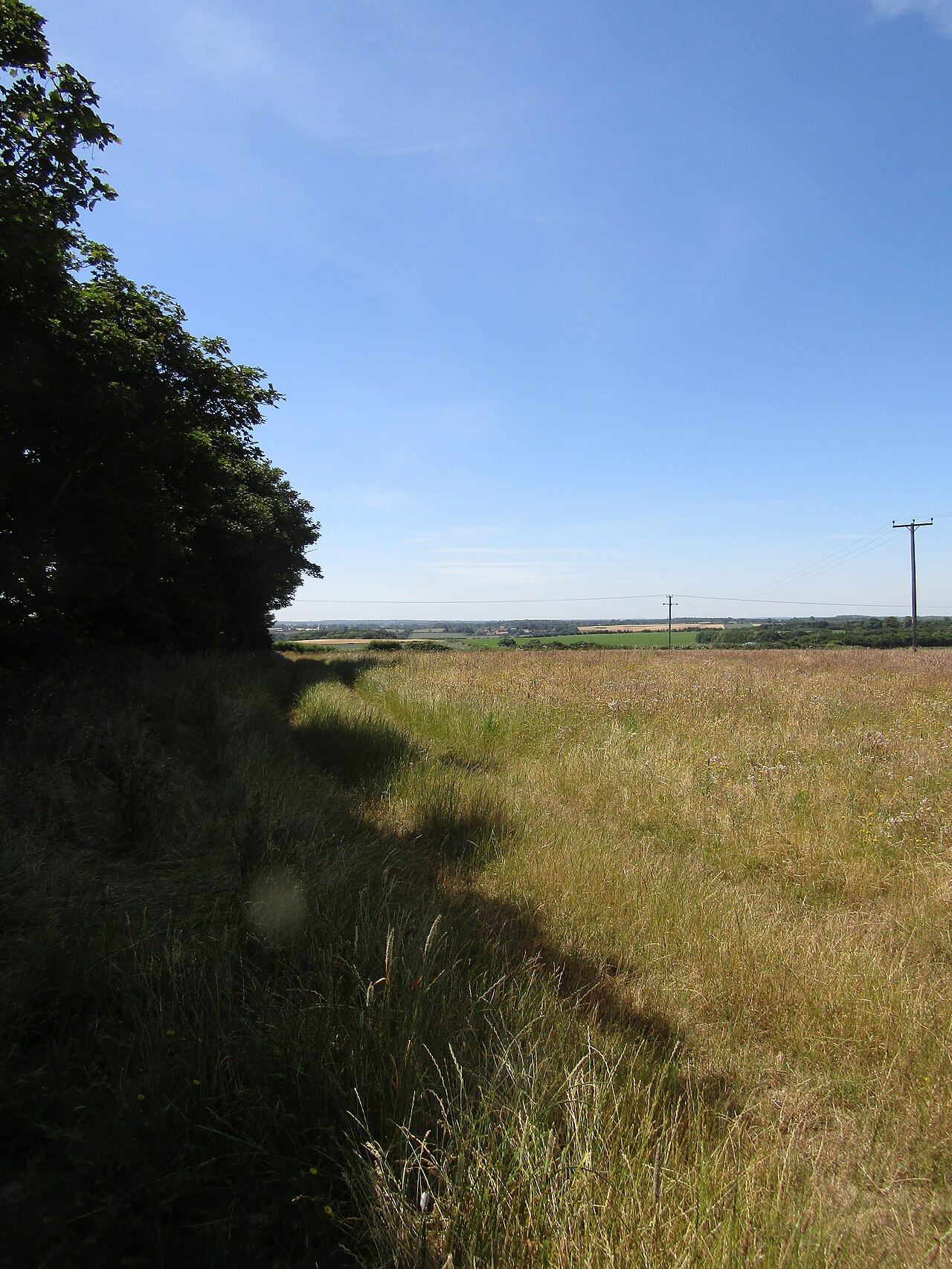dog friendly pubs norfolk - 2018-07-02 Countryside, Norfolk Coast Path, Trimingham, Norfolk