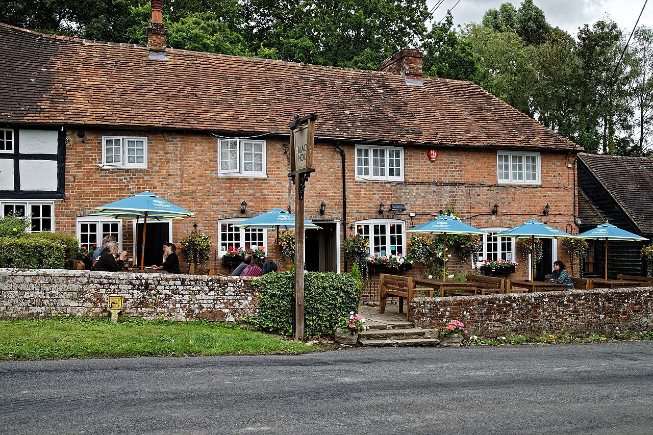 are dogs allowed on west wittering beach - Black Horse Inn, Nuthurst village, West Sussex, England 4