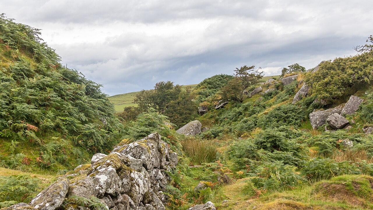 off-lead walks cornwall - Bodmin Moor, Cornwall-9102