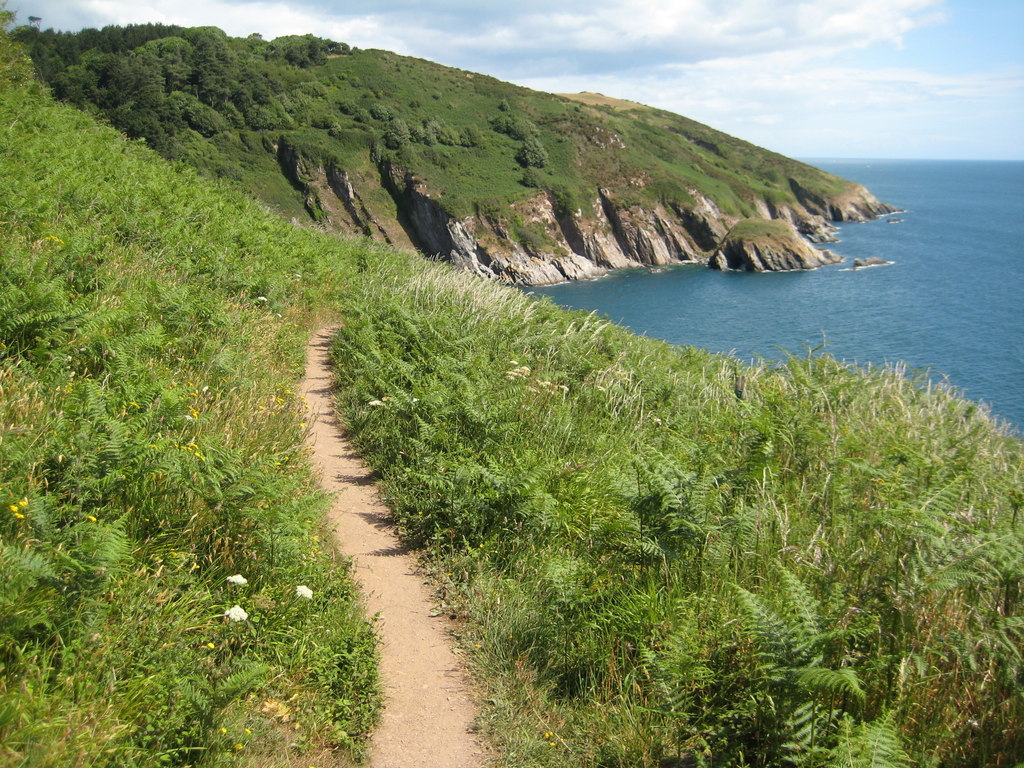 best dog-friendly beaches devon - Coast path above Pudcombe Cove-geograph-2470975-by-Philip-Halling