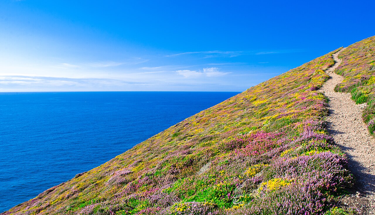 dog-friendly holidays cornwall - Coast path near Towanroath shaft, St Agnes, Cornwall (14876932142)
