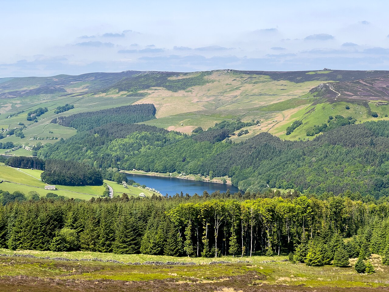 off-lead walks peak district - Conifer Ridge and Reservoir - Peak District Summer Mosaic