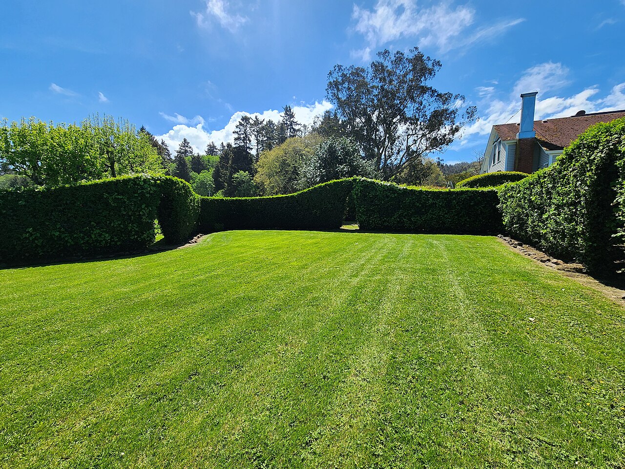 dog-friendly cottages no pet fee - Fern cottage exterior garden
