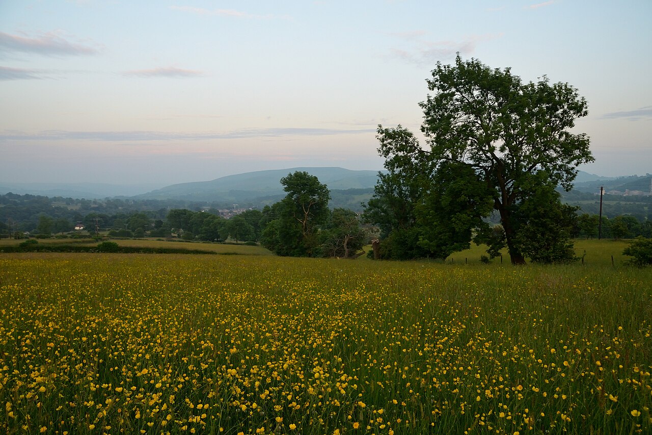 dog-friendly pubs peak district - Meadow in the Hope Valley, Derbyshire Peak District