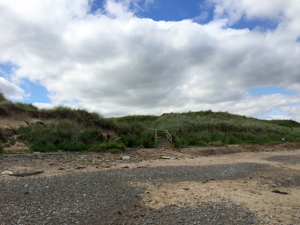 best dog-friendly beaches northumberland - Northumberland Coast Path leaving the beach