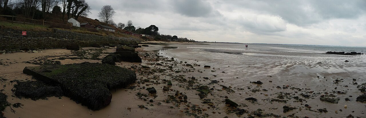 best dog-friendly beaches uk - Studland Beach , Sandy Beach and Rocks