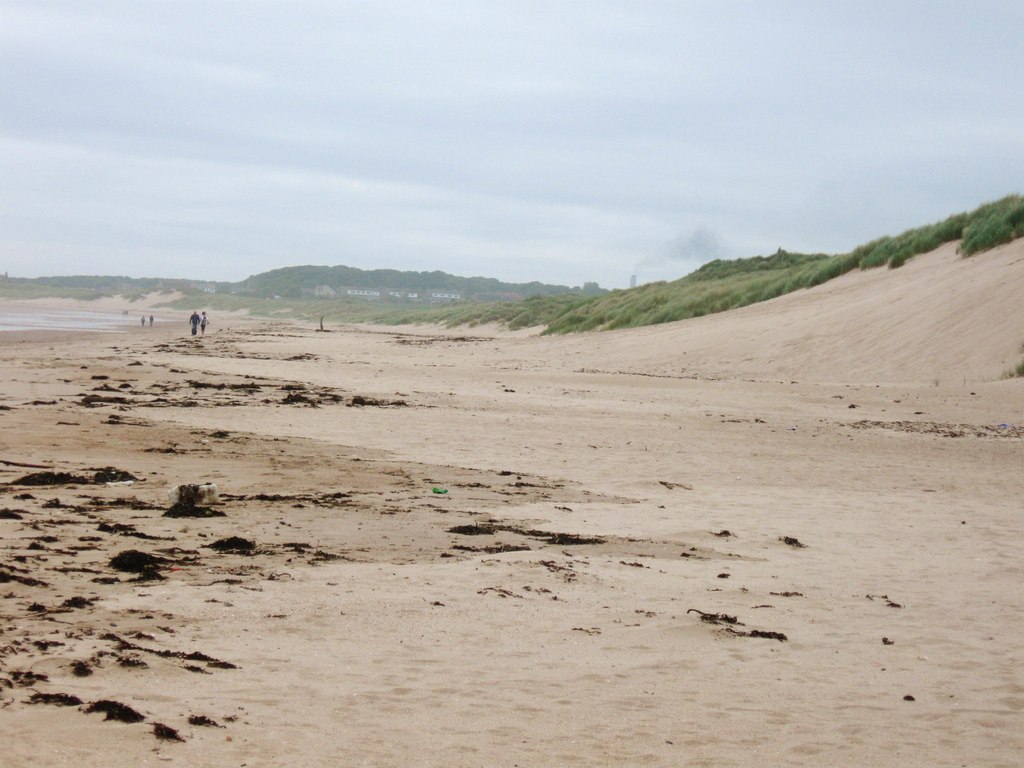 best dog-friendly beaches northumberland - The sand dunes at Druridge Bay, near Cresswell, Northumberland