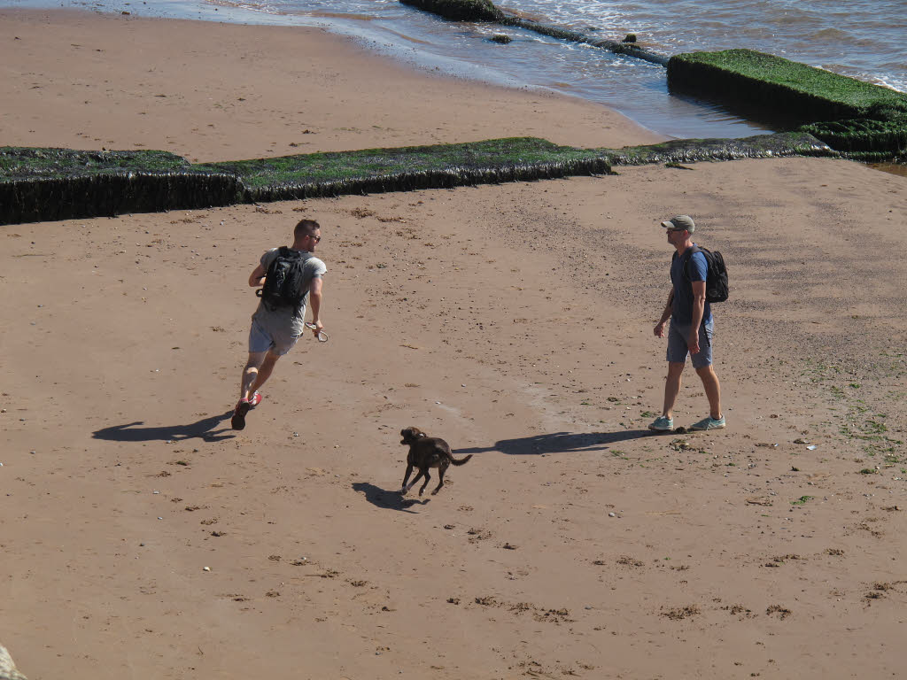 best dog-friendly beaches devon - Two men and a dog on the beach